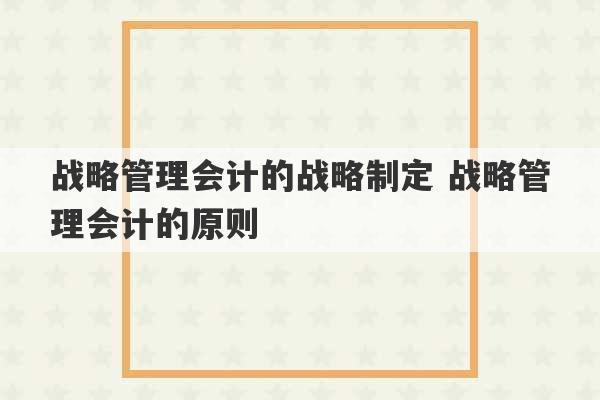 战略管理会计的战略制定 战略管理会计的原则