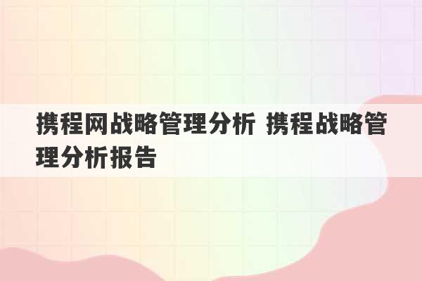 携程网战略管理分析 携程战略管理分析报告