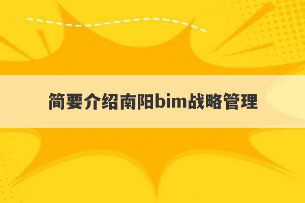 简要介绍南阳bim战略管理