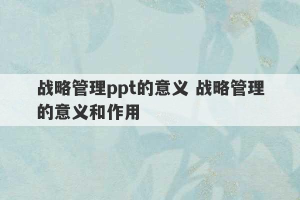 战略管理ppt的意义 战略管理的意义和作用