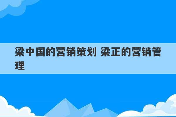 梁中国的营销策划 梁正的营销管理