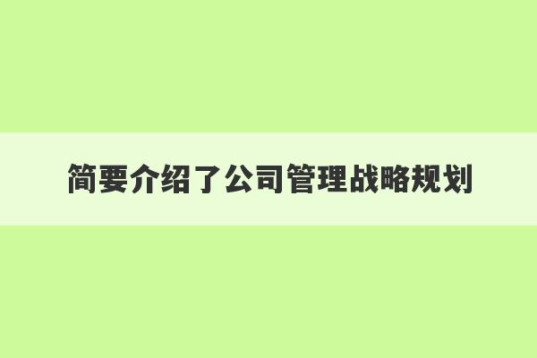 简要介绍了公司管理战略规划