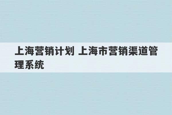 上海营销计划 上海市营销渠道管理系统