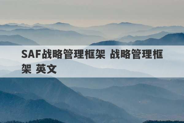 SAF战略管理框架 战略管理框架 英文