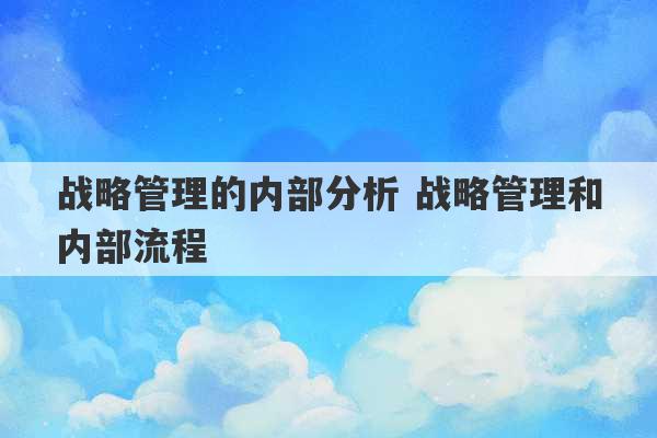 战略管理的内部分析 战略管理和内部流程