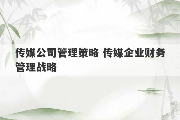 传媒公司管理策略 传媒企业财务管理战略