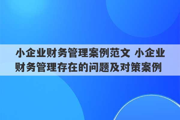 小企业财务管理案例范文 小企业财务管理存在的问题及对策案例