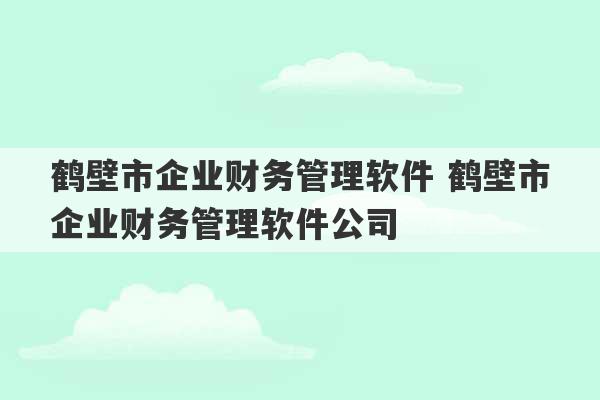 鹤壁市企业财务管理软件 鹤壁市企业财务管理软件公司