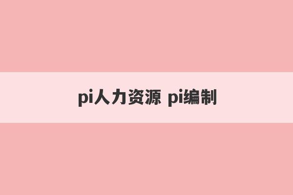 pi人力资源 pi编制