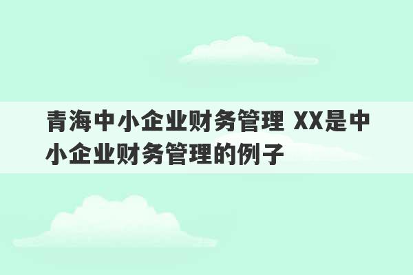 青海中小企业财务管理 XX是中小企业财务管理的例子