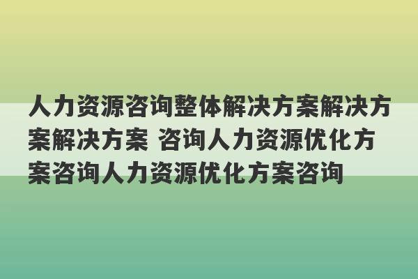 人力资源咨询整体解决方案解决方案解决方案 咨询人力资源优化方案咨询人力资源优化方案咨询