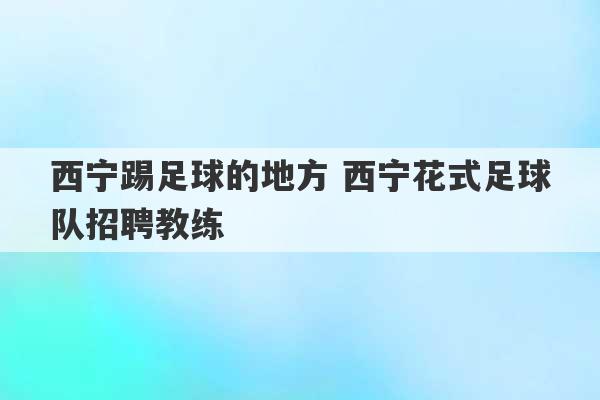 西宁踢足球的地方 西宁花式足球队招聘教练