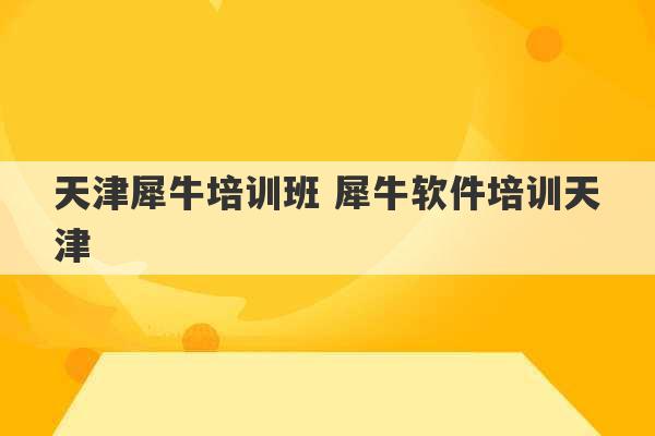 天津犀牛培训班 犀牛软件培训天津