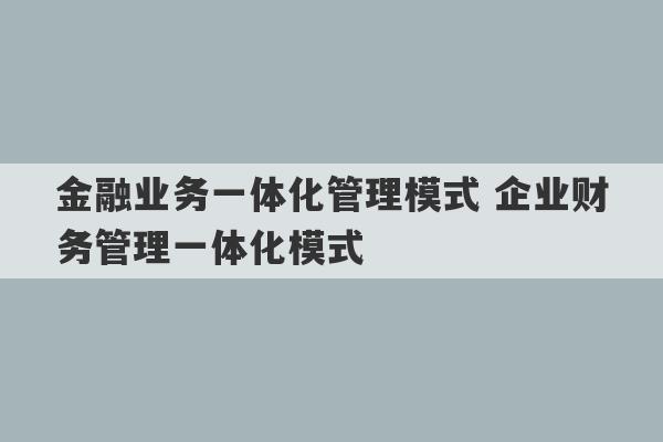 金融业务一体化管理模式 企业财务管理一体化模式