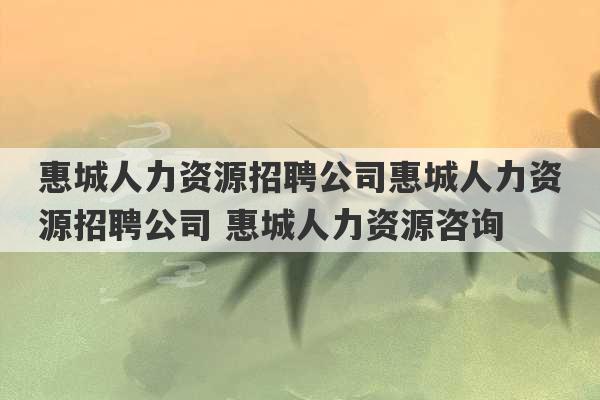 惠城人力资源招聘公司惠城人力资源招聘公司 惠城人力资源咨询