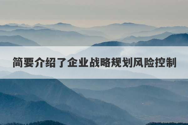 简要介绍了企业战略规划风险控制