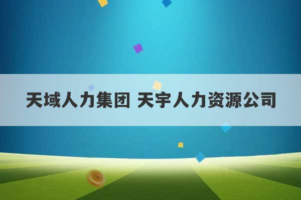 天域人力集团 天宇人力资源公司