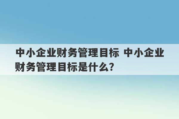 中小企业财务管理目标 中小企业财务管理目标是什么？