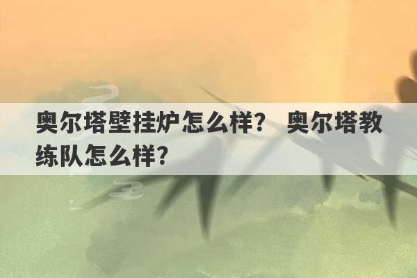 奥尔塔壁挂炉怎么样？ 奥尔塔教练队怎么样？