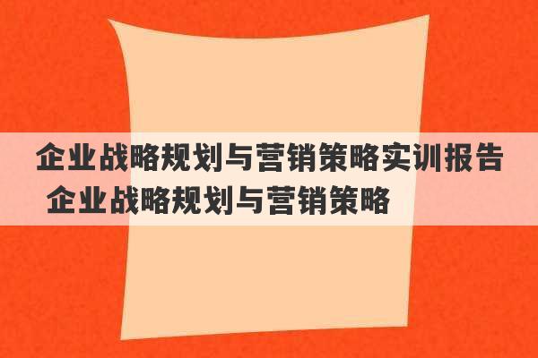 企业战略规划与营销策略实训报告 企业战略规划与营销策略