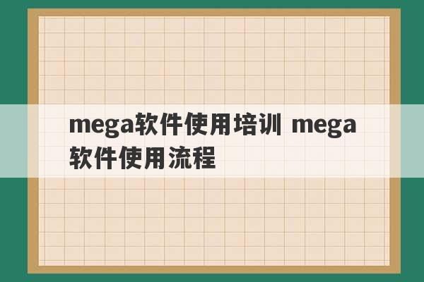 mega软件使用培训 mega软件使用流程