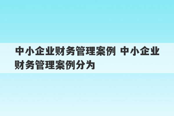 中小企业财务管理案例 中小企业财务管理案例分为