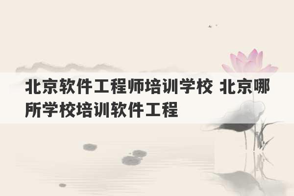 北京软件工程师培训学校 北京哪所学校培训软件工程