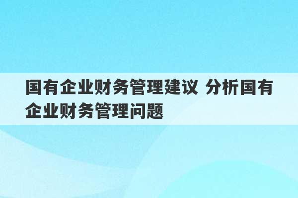 国有企业财务管理建议 分析国有企业财务管理问题