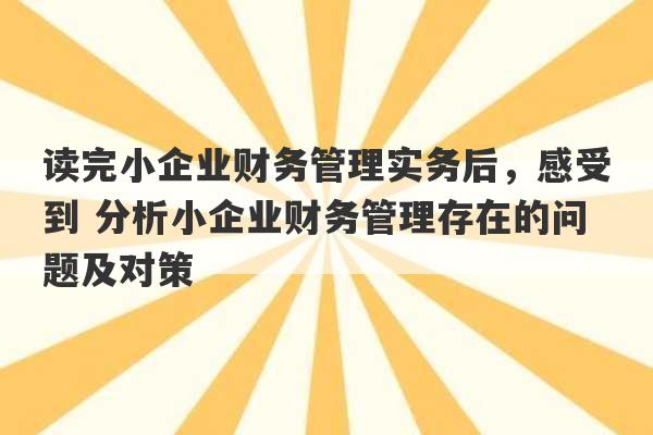 读完小企业财务管理实务后，感受到 分析小企业财务管理存在的问题及对策