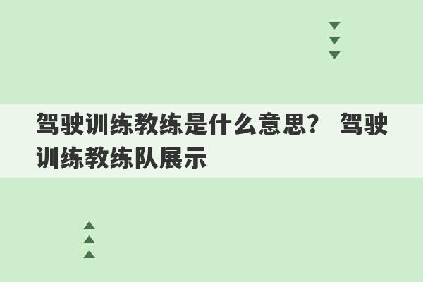 驾驶训练教练是什么意思？ 驾驶训练教练队展示