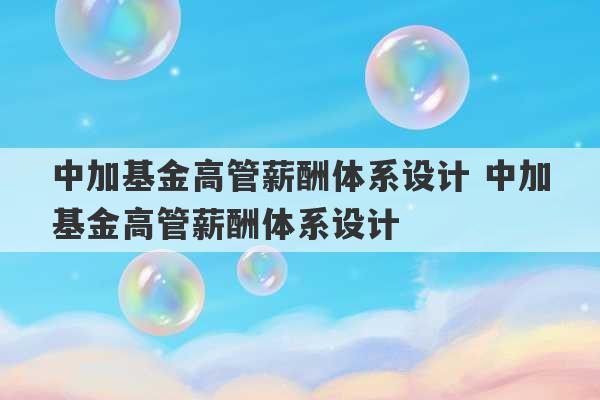 中加基金高管薪酬体系设计 中加基金高管薪酬体系设计