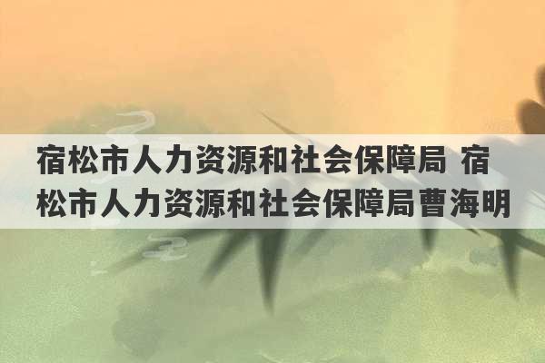 宿松市人力资源和社会保障局 宿松市人力资源和社会保障局曹海明