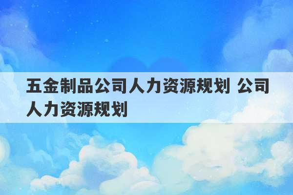 五金制品公司人力资源规划 公司人力资源规划