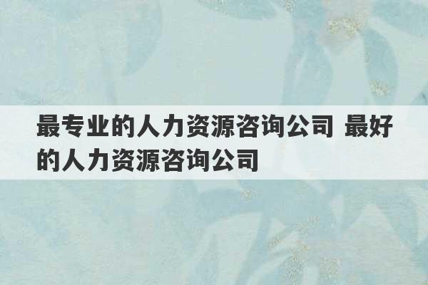 最专业的人力资源咨询公司 最好的人力资源咨询公司