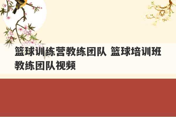 篮球训练营教练团队 篮球培训班教练团队视频