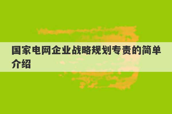 国家电网企业战略规划专责的简单介绍