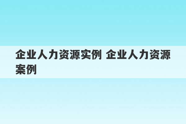 企业人力资源实例 企业人力资源案例