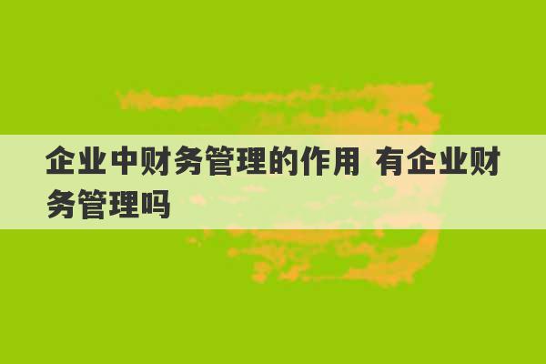 企业中财务管理的作用 有企业财务管理吗