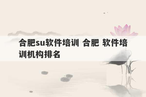 合肥su软件培训 合肥 软件培训机构排名