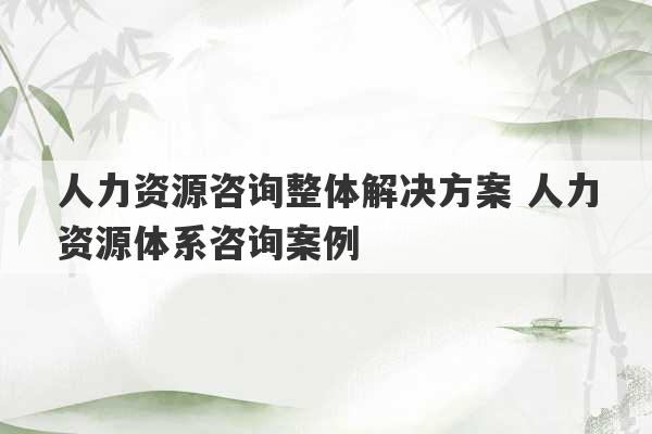 人力资源咨询整体解决方案 人力资源体系咨询案例