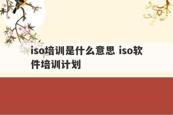 iso培训是什么意思 iso软件培训计划