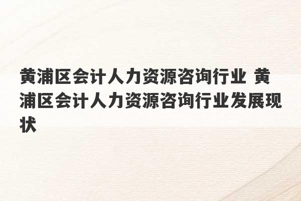 黄浦区会计人力资源咨询行业 黄浦区会计人力资源咨询行业发展现状