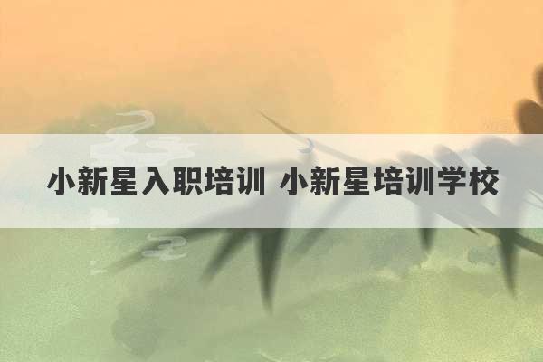 小新星入职培训 小新星培训学校