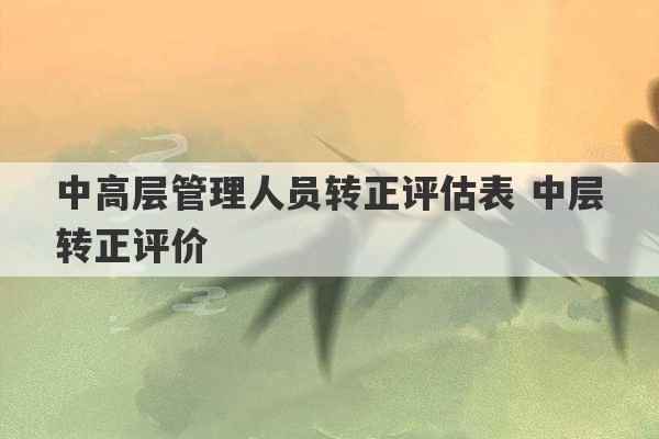 中高层管理人员转正评估表 中层转正评价