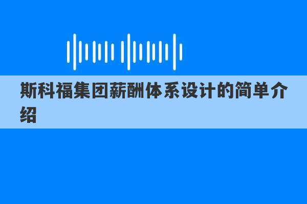 斯科福集团薪酬体系设计的简单介绍