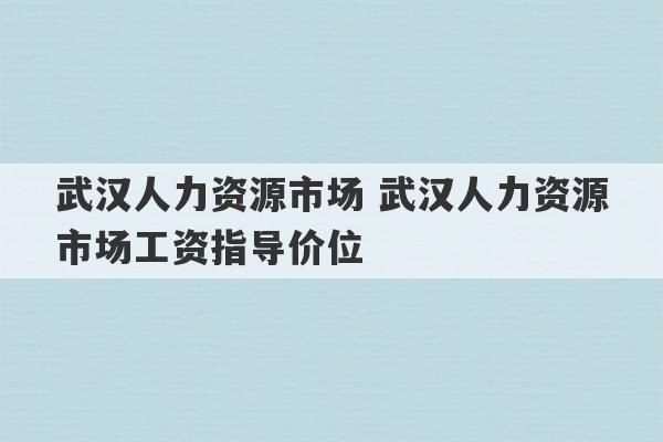 武汉人力资源市场 武汉人力资源市场工资指导价位