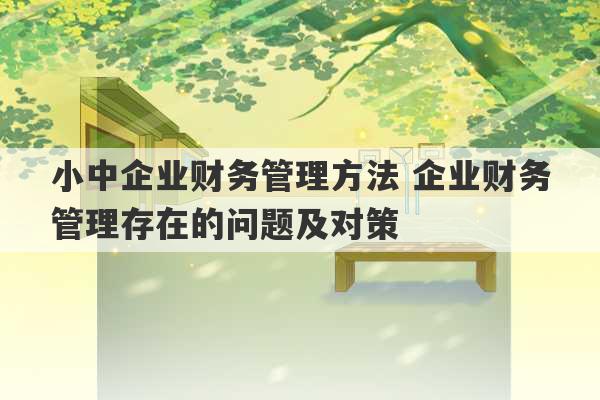 小中企业财务管理方法 企业财务管理存在的问题及对策