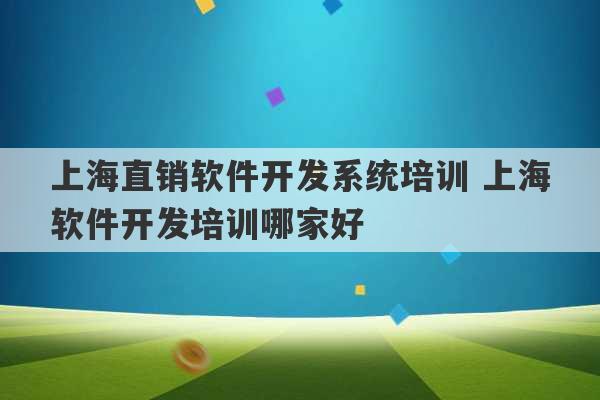 上海直销软件开发系统培训 上海软件开发培训哪家好