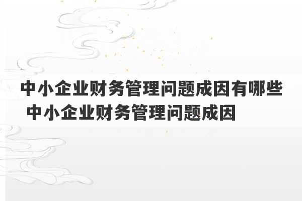 中小企业财务管理问题成因有哪些 中小企业财务管理问题成因