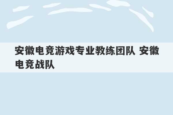 安徽电竞游戏专业教练团队 安徽电竞战队